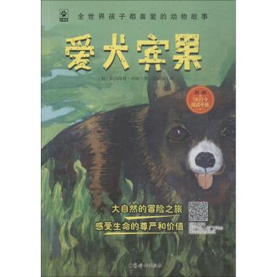 爱犬宾果 科普版 (加)欧内斯特·西顿(Ernest Seton) 著 刘涵瑞 译 少儿 文轩网