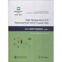IGCC粗煤气高温脱硫 吴江 等 著 专业科技 文轩网