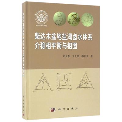 介稳相平衡与相图/柴达木盆地盐湖卤水体系 邓天龙 著 专业科技 文轩网