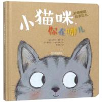 小猫咪,你在哪儿 