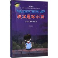 我不是坏小孩:流动儿童的逆成长 范泽木 著 著 少儿 文轩网
