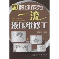 教你成为一流液压维修工 陆望龙 专业科技 文轩网