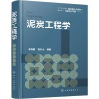 泥炭工程学 孟宪民,刘兴土 著 专业科技 文轩网