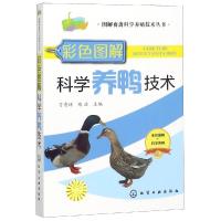 彩色图解科学养鸭技术/图解畜禽科学养殖技术丛书 刁有祥、陈浩 主编 著 专业科技 文轩网