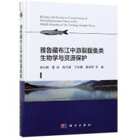 雅鲁藏布江中游裂腹鱼类生物学与资源保护 谢从新 等 著 专业科技 文轩网