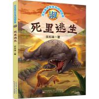 淑 死里逃生 沈石溪 著 少儿 文轩网