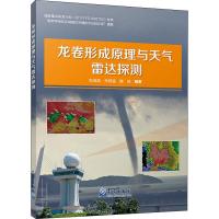 龙卷形成原理与天气雷达探测 张培昌,朱君鉴,魏鸣 著 专业科技 文轩网