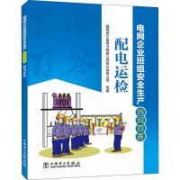 电网企业班组安全生产百问百答 配电运检 国网浙江省电力有限公司绍兴供电公司 著 国网浙江省电力有限公司绍兴供电公司 编 