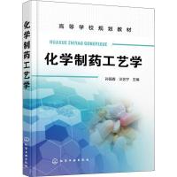 化学制药工艺学 编者:孙国香//汪艺宁 著 孙国香,汪艺宁 编 大中专 文轩网