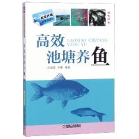 高效池塘养鱼 编者:占家智//羊茜 著 专业科技 文轩网