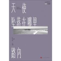 天使坠落在哪里 路内 著 文学 文轩网