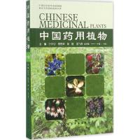 中国药用植物 叶华谷 等 主编 生活 文轩网