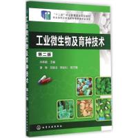 工业微生物及育种技术 孙祎敏 主编 大中专 文轩网