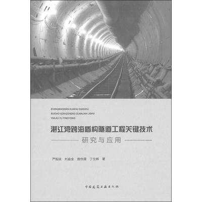 湛江湾跨海盾构隧道工程关键技术研究与应用 严振瑞 等 著 专业科技 文轩网