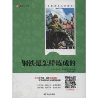 钢铁是怎样炼成的 (苏)尼古拉·奥斯特洛夫斯基 著 周泽刚 译 文学 文轩网
