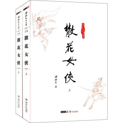 散花女侠(2册) 梁羽生 著 文学 文轩网