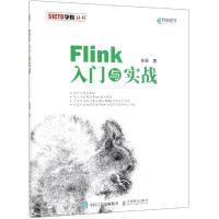 FLINK入门与实战 徐葳 著 专业科技 文轩网