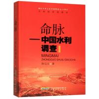 命脉——中国水利调查 陈启文 著 文学 文轩网