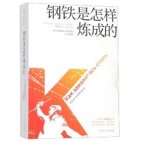 钢铁是怎样炼成的 吴兴勇 著 吴兴勇 译 文学 文轩网