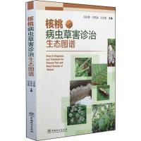 核桃病虫草害诊治生态图谱 冯玉增,任军战,王文星 编 专业科技 文轩网