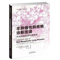 非肿瘤性肺疾病诊断图谱 外科病理医师实践指南 