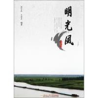 明光风 傅守乾,王绪波 编著 著作 文学 文轩网