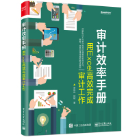 审计效率手册 用Excel高效完成审计工作 涂佳兵,林铖 著 专业科技 文轩网