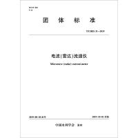 电波(雷达)流速仪 T/CHES 31-2019 中国水利学会 专业科技 文轩网