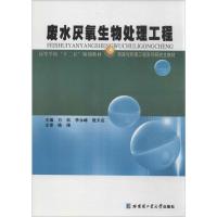 废水厌氧生物处理工程 万松 等 编 著 专业科技 文轩网