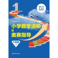 小学数学进阶与奥赛指导 本丛书编写组 组编 著作 文教 文轩网