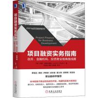 项目融资实务指南 政府、金融机构、投资者全视角路线图 