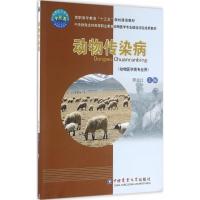 动物传染病 贾志江 主编 大中专 文轩网