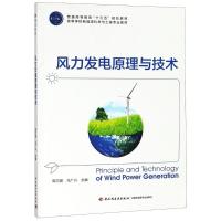 风力发电原理与技术 韩巧丽,马广兴 著 韩巧丽,马广兴 编 大中专 文轩网