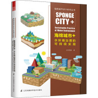 海绵城市+水环境治理的可持续实践 正和恒基 著 伍业钢 编 专业科技 文轩网