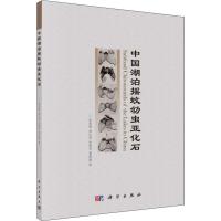 中国湖泊摇蚊幼虫亚化石 张恩楼 等 著 专业科技 文轩网