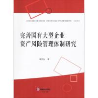 完善国有大型企业资产风险管理体制研究 杨志远 著 经管、励志 文轩网