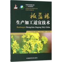 板蓝根生产加工适宜技术 王惠珍,张水利 主编 生活 文轩网