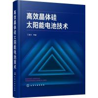 高效晶体硅太阳能电池技术 丁建宁 等 著 专业科技 文轩网