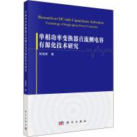 单相功率变换器直流侧电容有源化技术研究 朱国荣 著 专业科技 文轩网