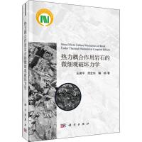 热力耦合作用岩石的微细观破坏力学 左建平,周宏伟,鞠杨 著 专业科技 文轩网