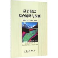 砂岩储层综合解释与预测 胡伟光,申小平,范春华 等 编著 著 专业科技 文轩网