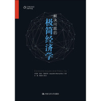 解决问题的极简经济学 杰奎琳·默里·布鲁克斯(Jacqueline Murray Brux) 著 孙瑾,周世民 译