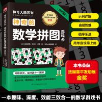 神奇的数学拼图游戏 2(进阶级) (法)拉美西斯·布恩科·沙弗 著 神奇大脑编辑部 译 少儿 文轩网