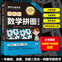 神奇的数学拼图游戏 3(挑战级) (法)拉美西斯·布恩科·沙弗 著 神奇大脑编辑部 译 少儿 文轩网