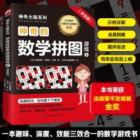 神奇的数学拼图游戏 4(冲关级) (法)拉美西斯·布恩科·沙弗 著 神奇大脑编辑部 译 少儿 文轩网