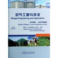 沼气工程与技术 董仁杰,(奥)伯恩哈特·蓝宁阁(Bernhard Raninger) 主编 专业科技 文轩网