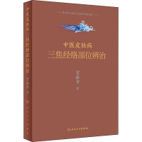 中医皮肤病三焦经络部位辨治 宫振甲 著 生活 文轩网