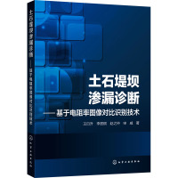 土石堤坝渗漏诊断——基于电阻率图像对比识别技术 王日升 等 著 专业科技 文轩网