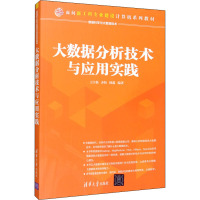 大数据分析技术与应用实践 王宇新,齐恒,杨鑫 编 大中专 文轩网