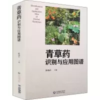 青草药识别与应用图谱 陈遇春 编 生活 文轩网